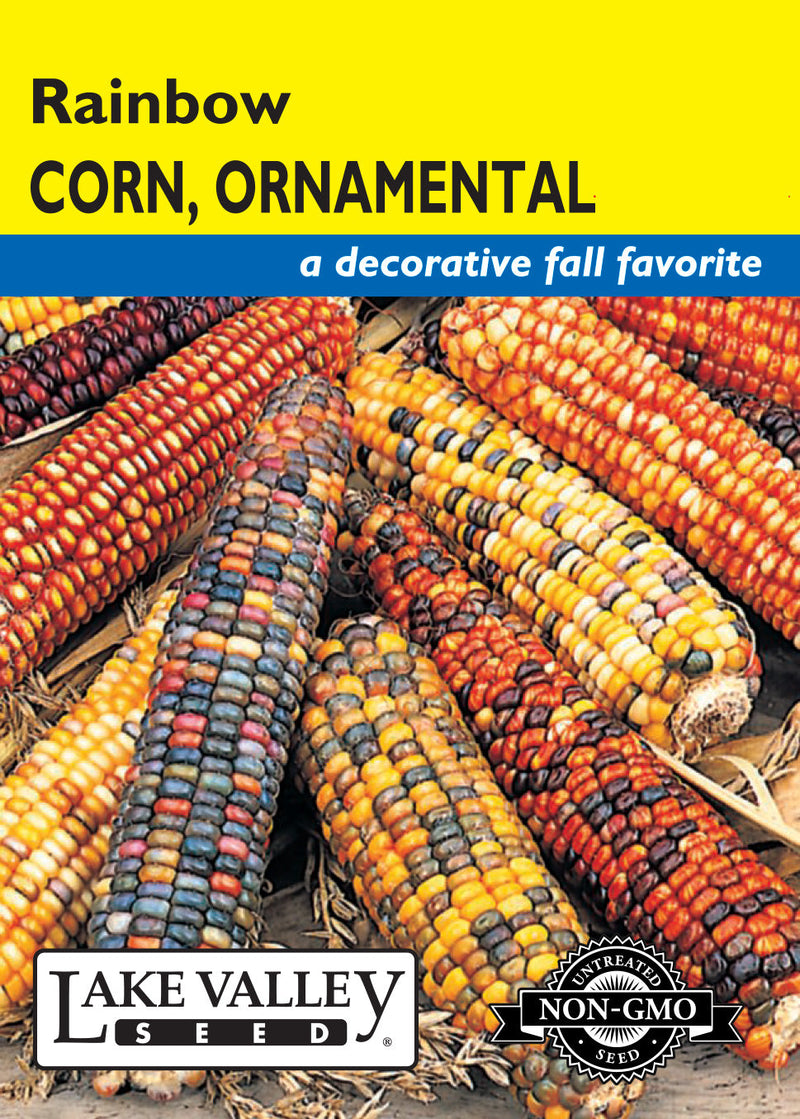 Corn Ornamental
