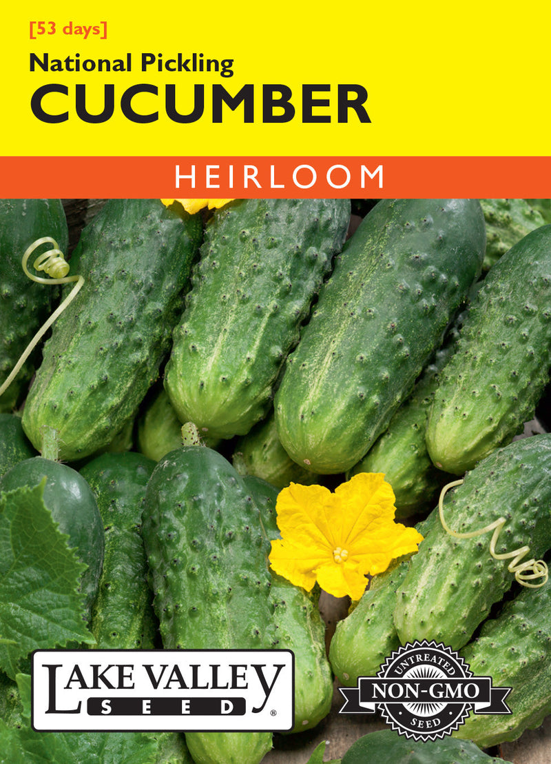 Cucumber