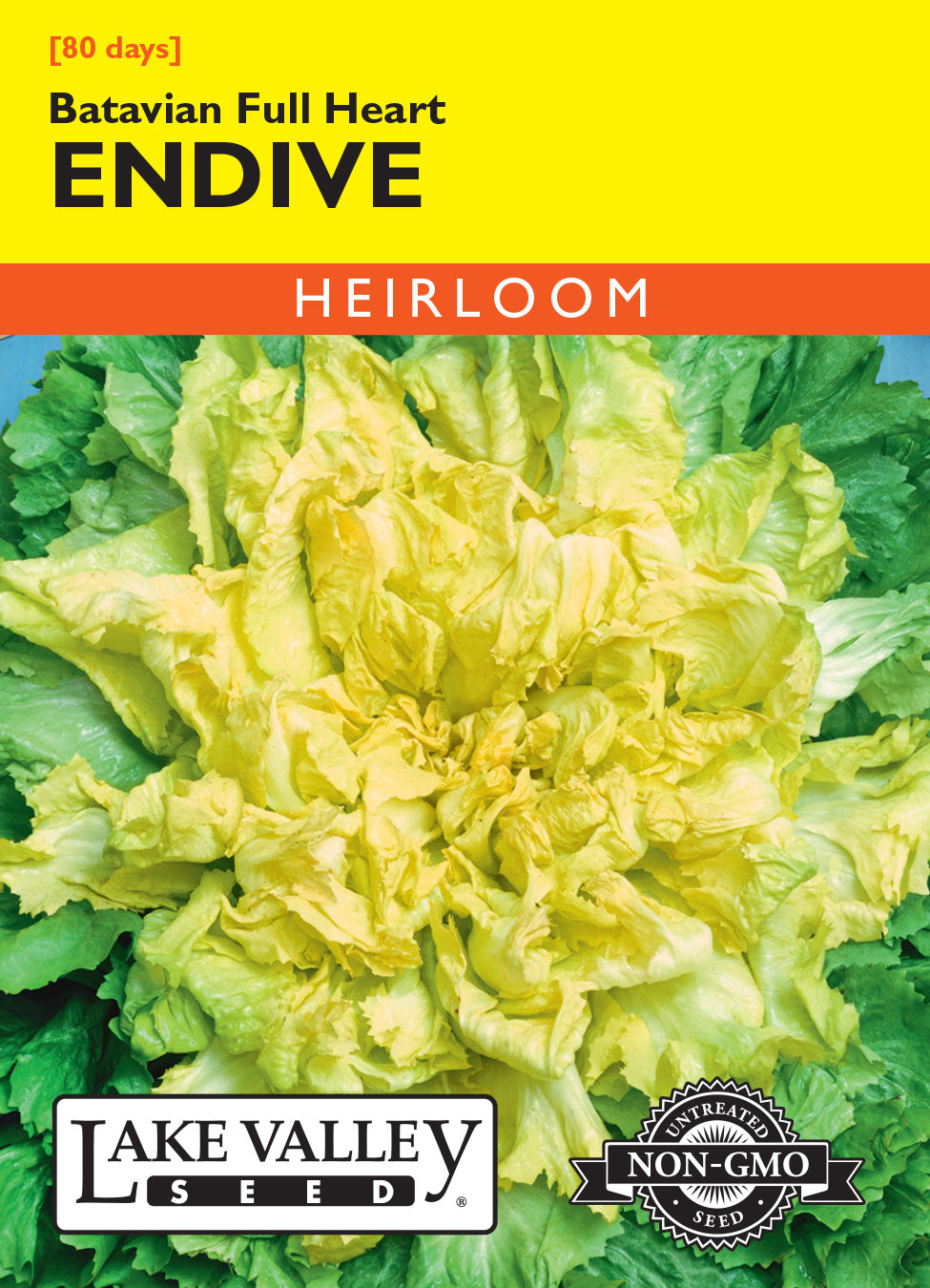 Endive