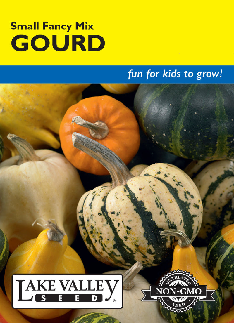 Gourd