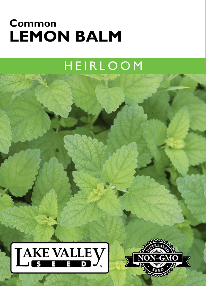 Lemon Balm
