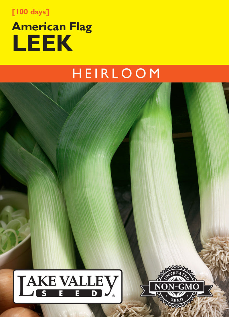 Leek