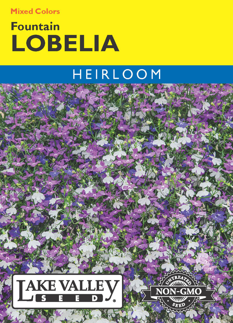 Lobelia