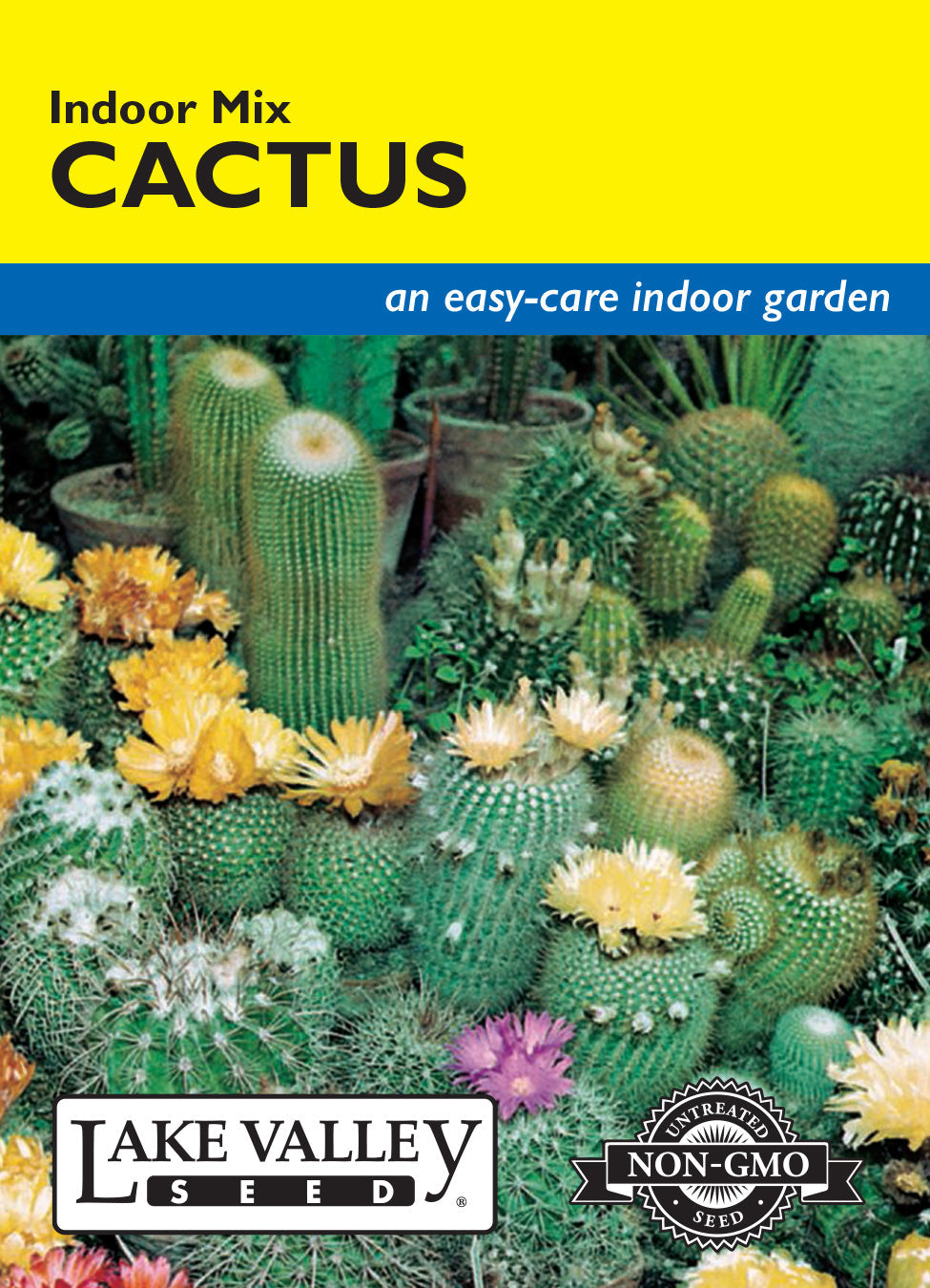 Cactus