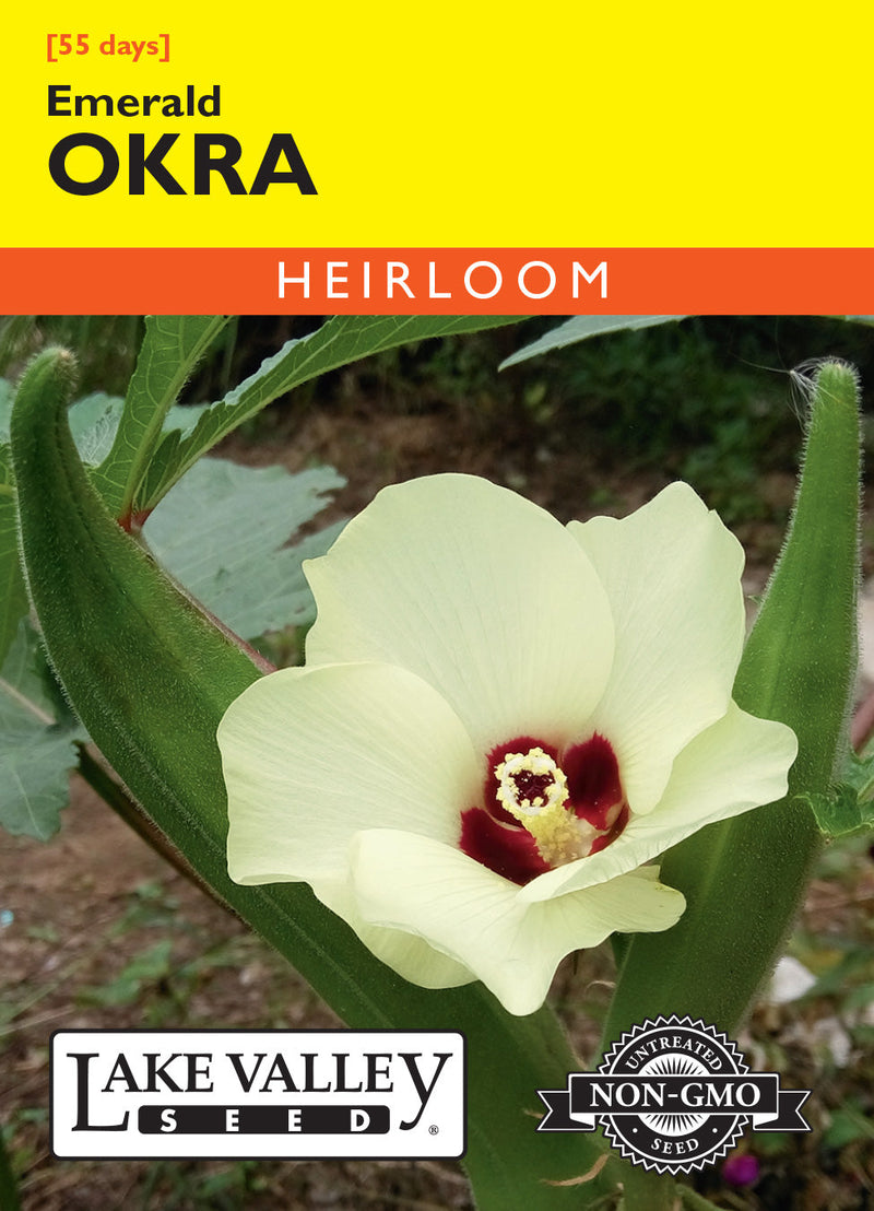 Okra