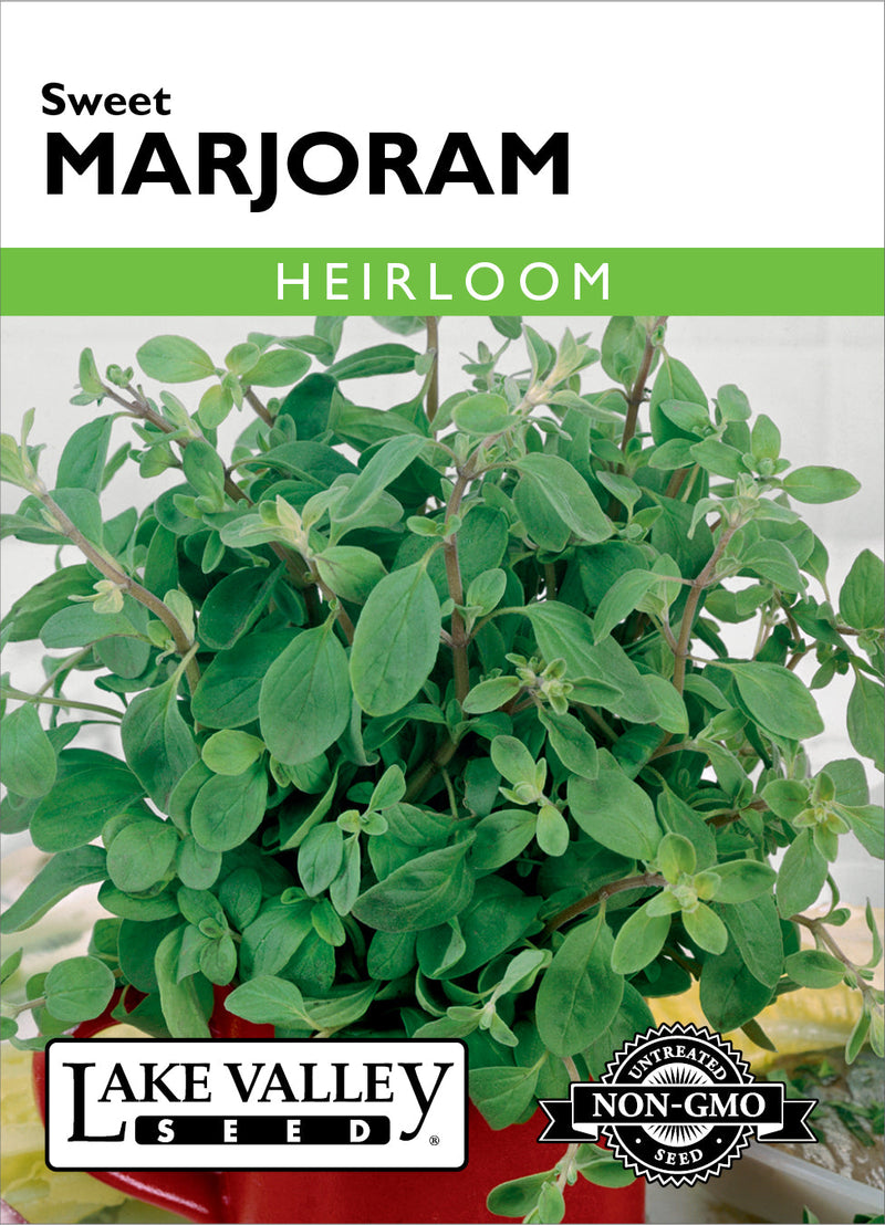 Marjoram