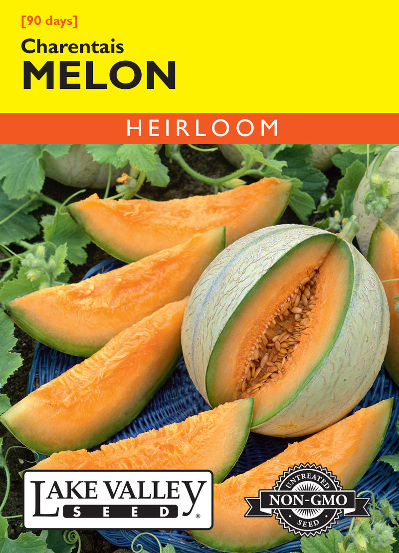 Melon
