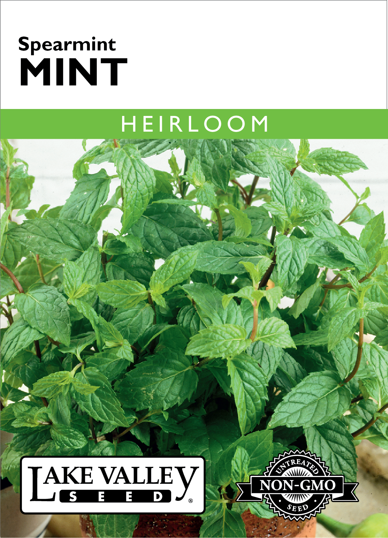 Mint