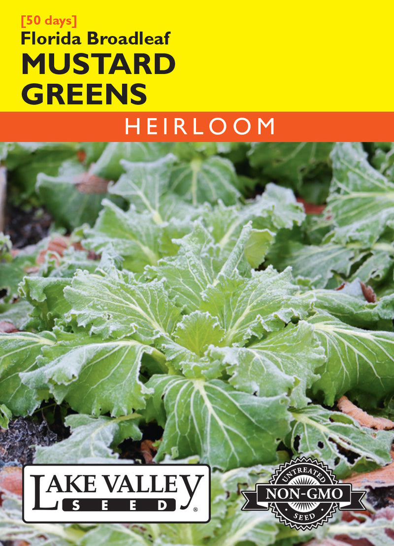 Mustard Greens