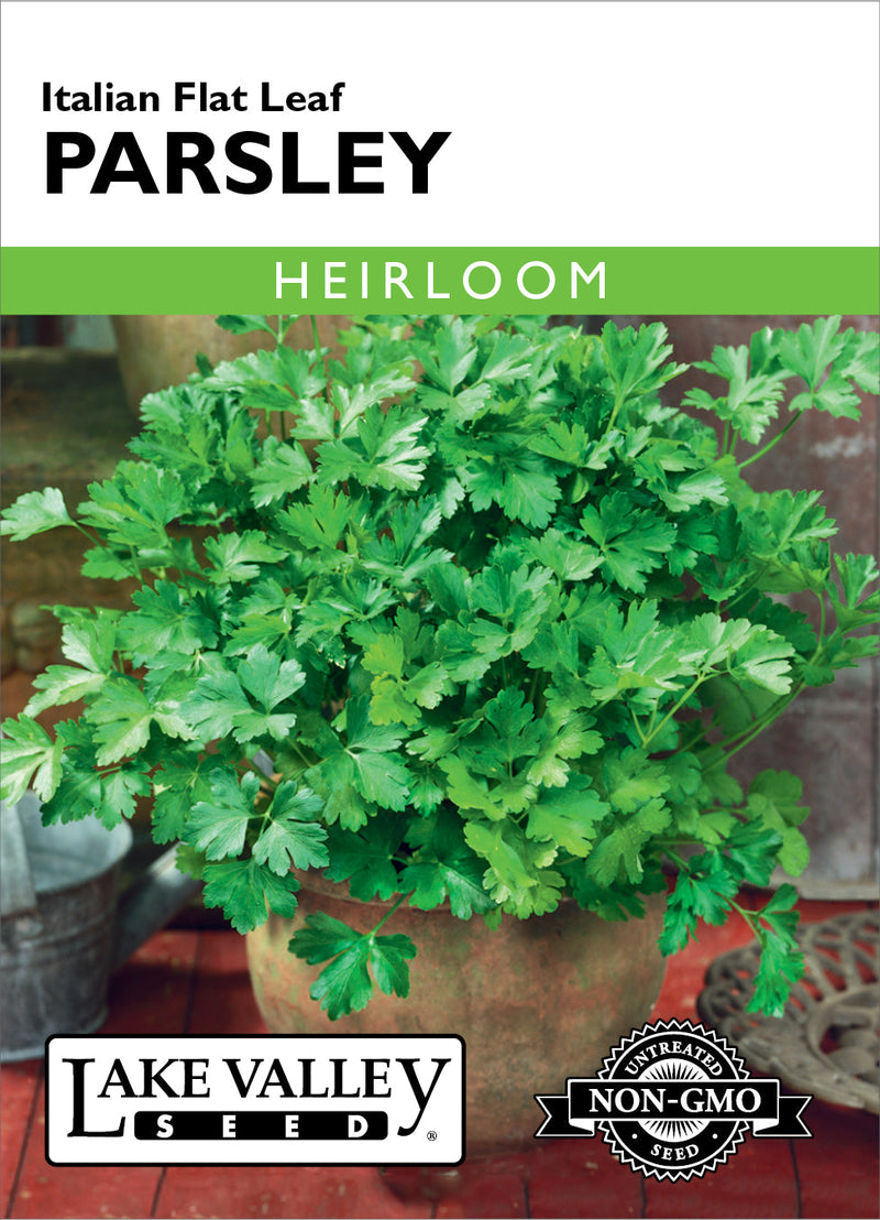 Parsley