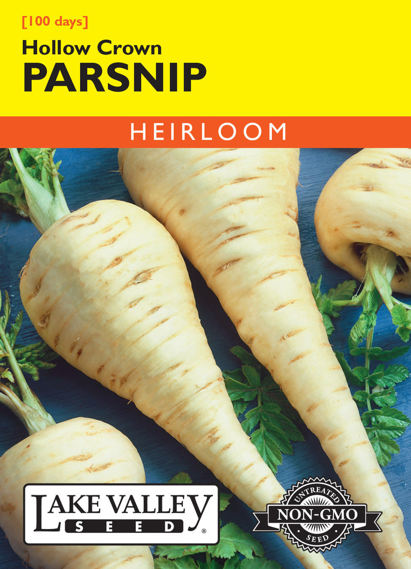 Parsnip