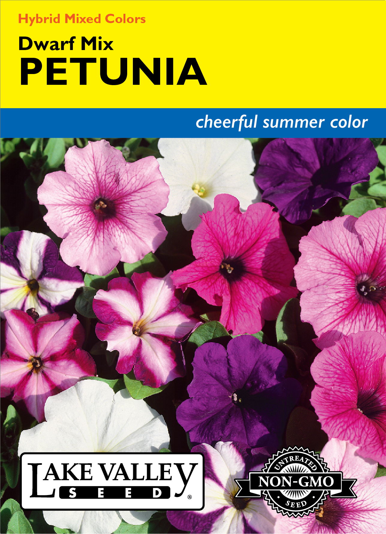 Petunia