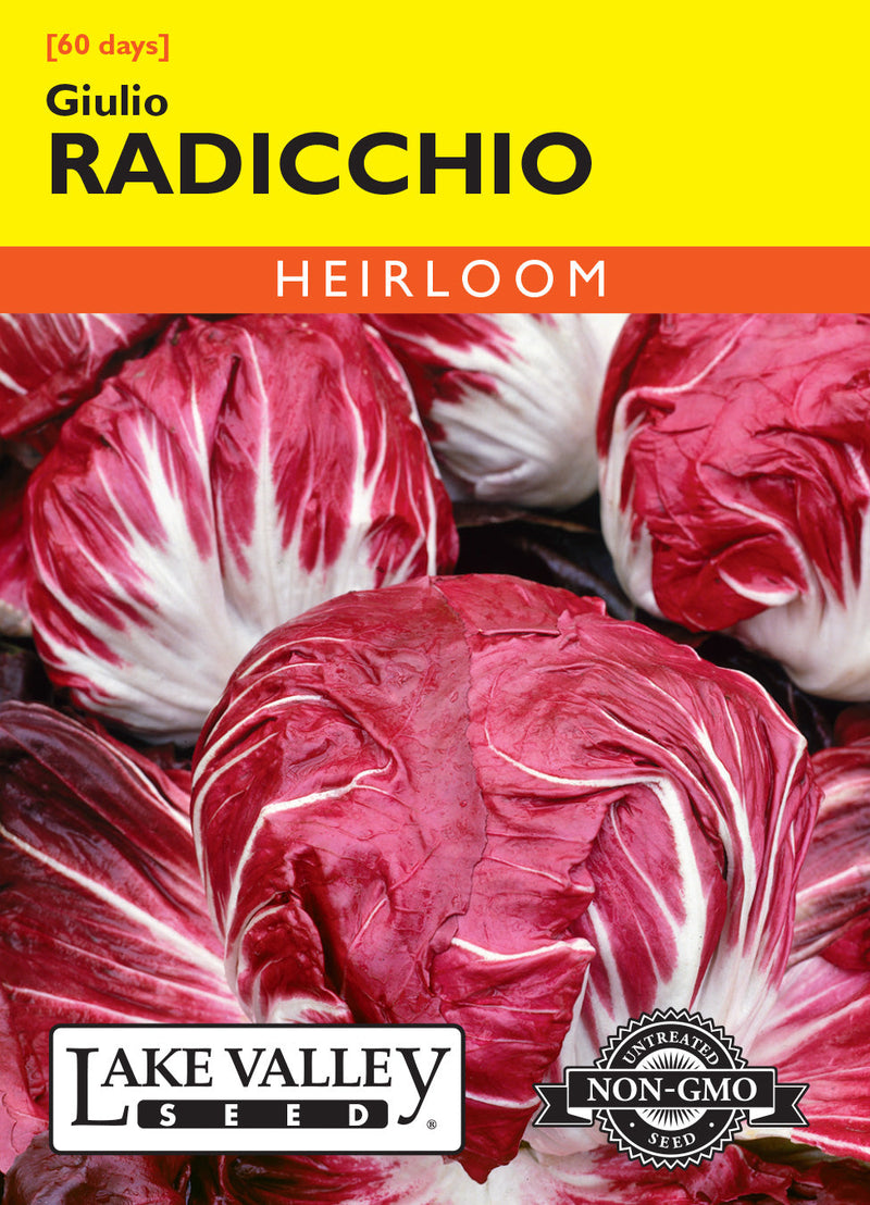 Radicchio