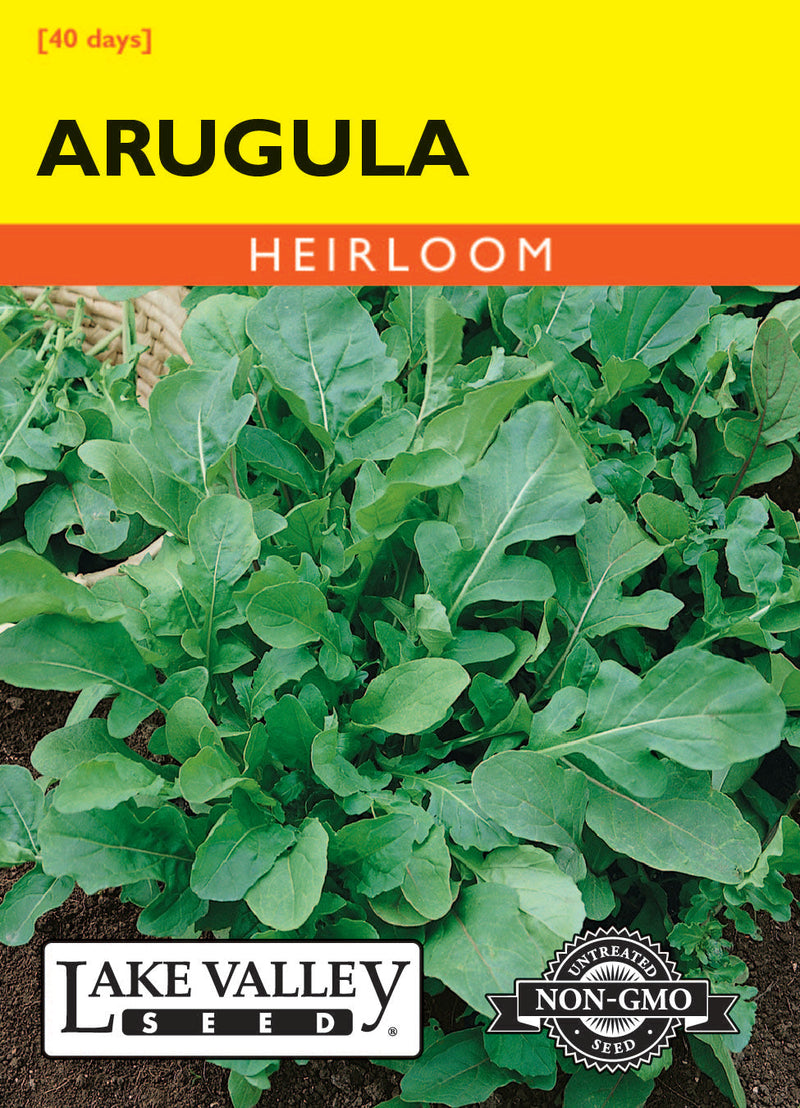 Arugula