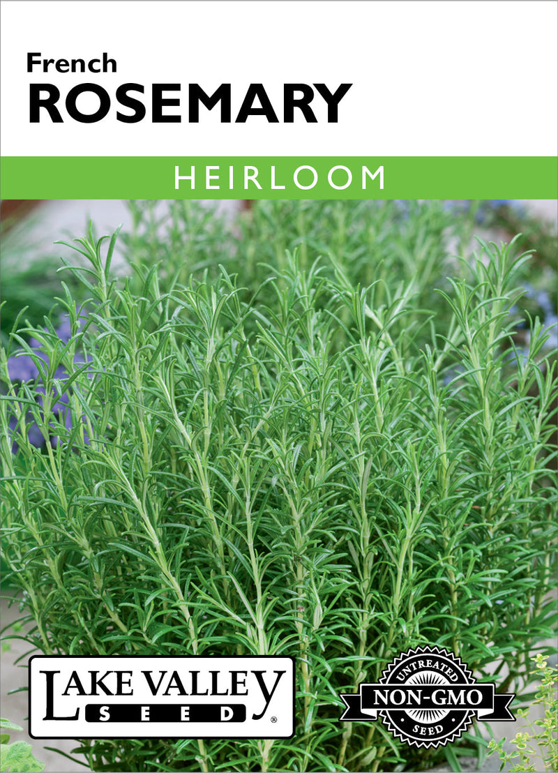 Rosemary