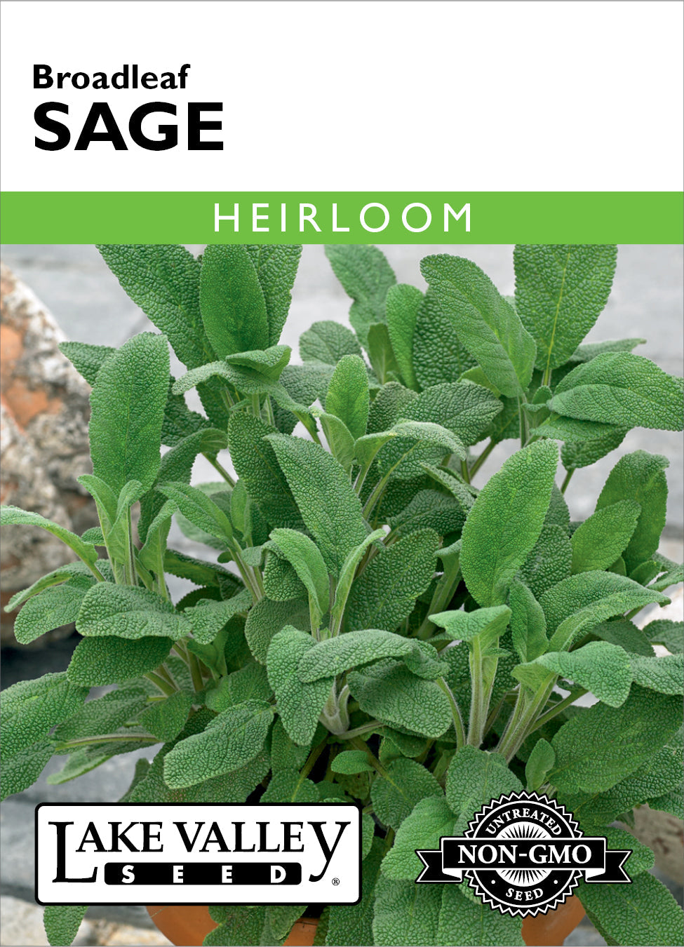 Sage