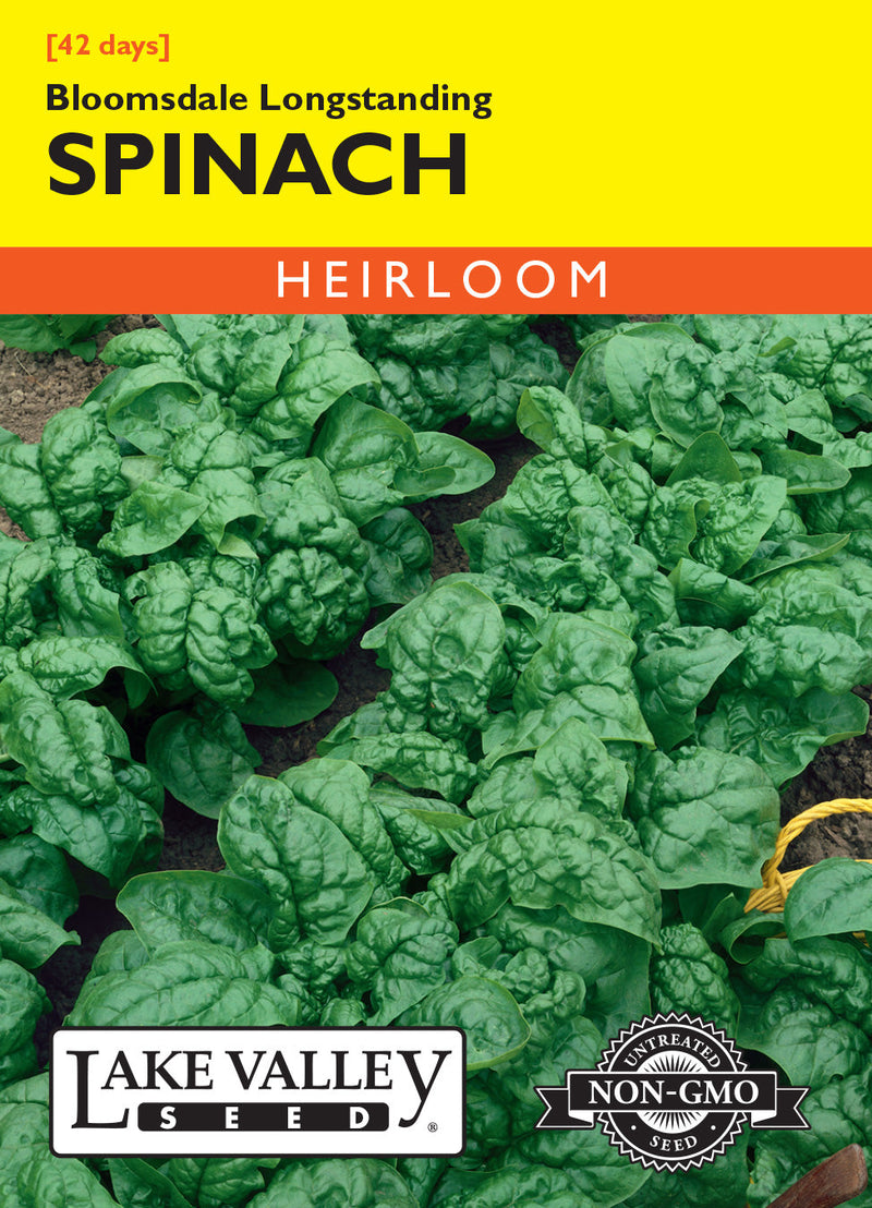 Spinach