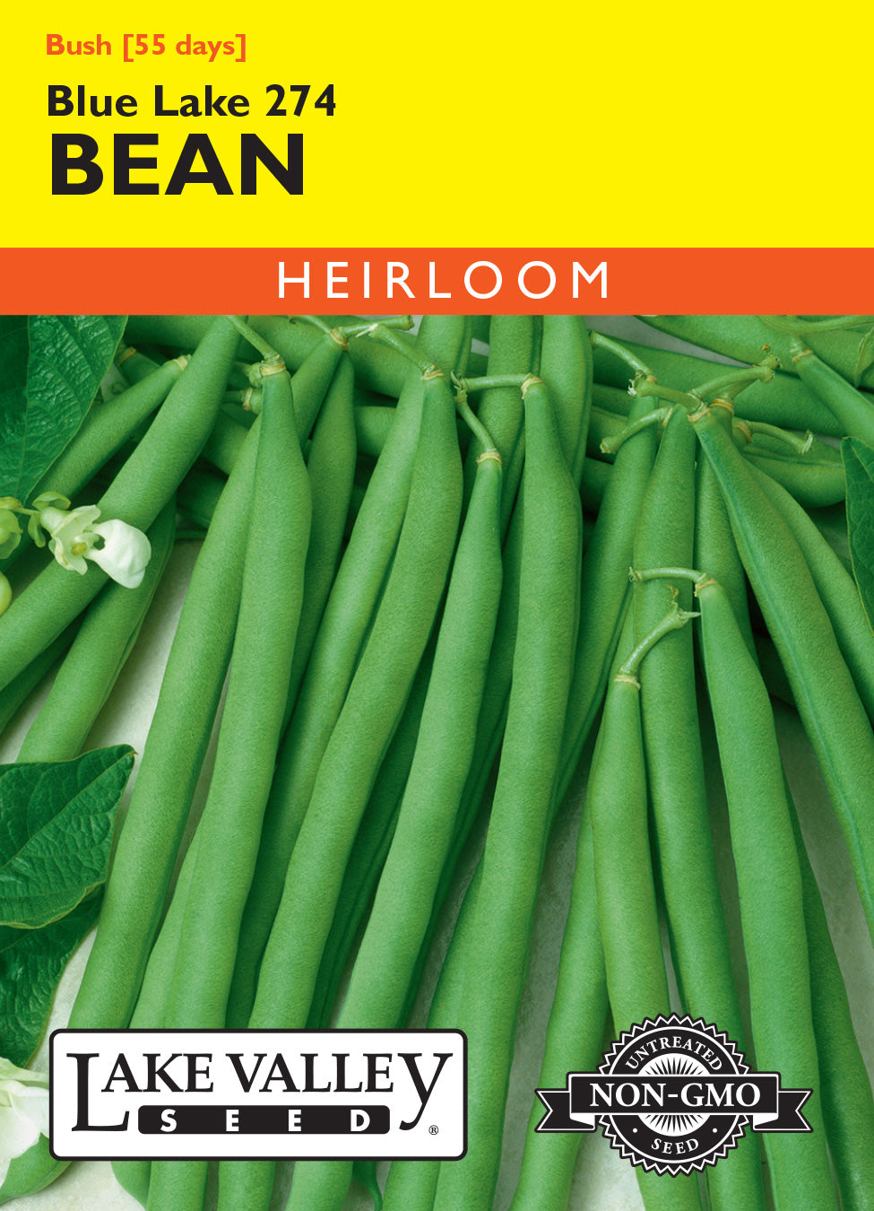 Bean (Bush)