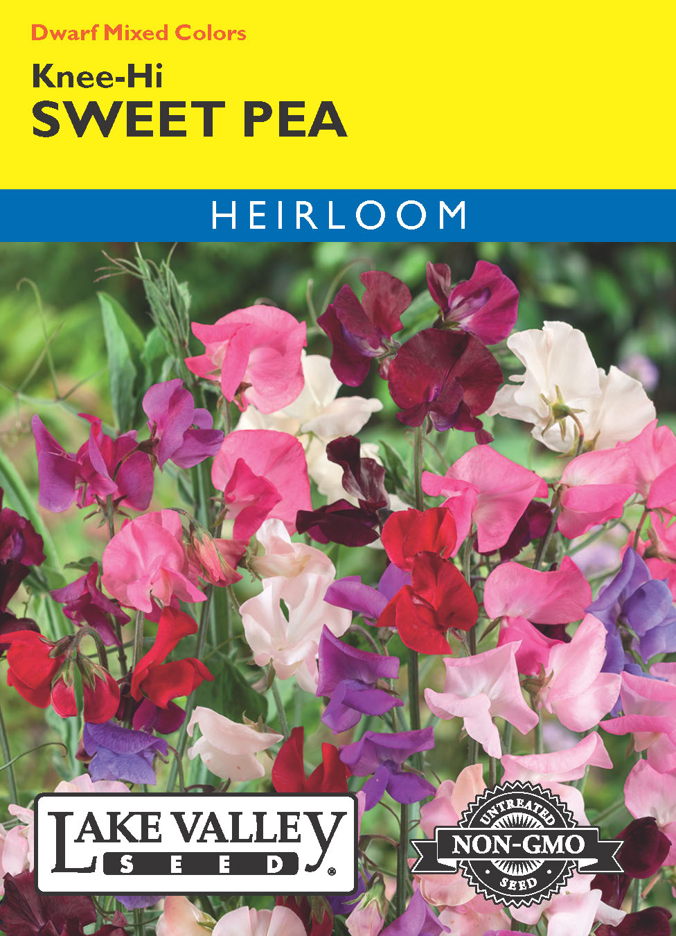 Sweet Pea