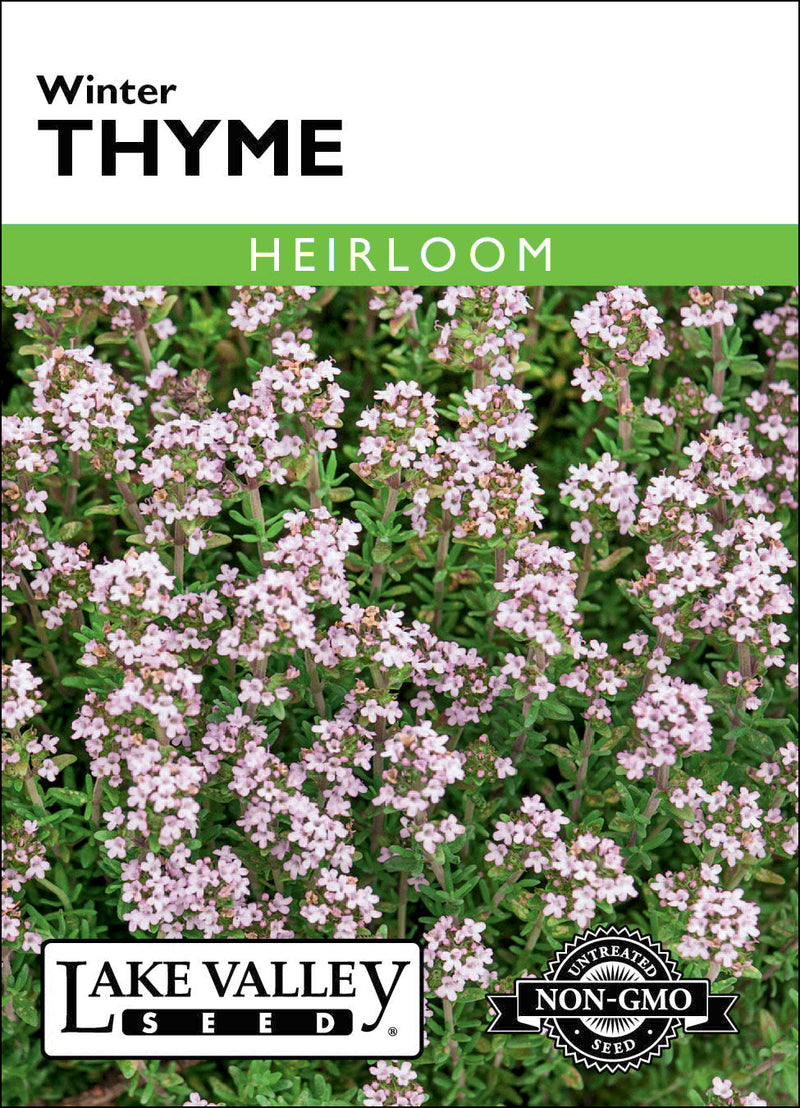 Thyme