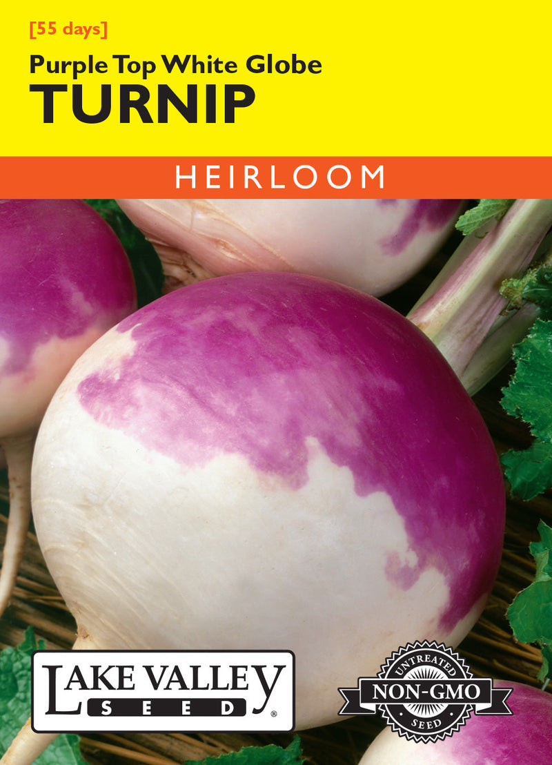 Turnip