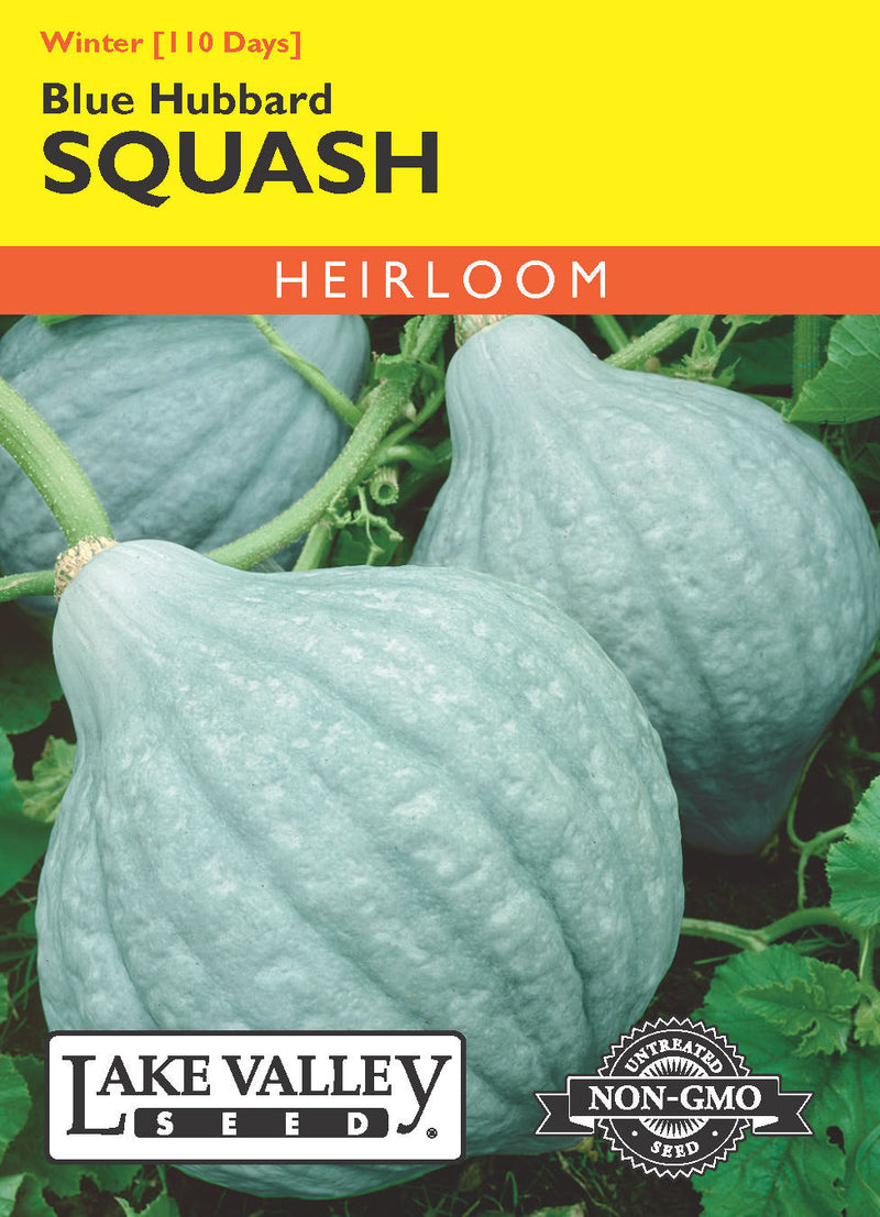 Squash (Winter)