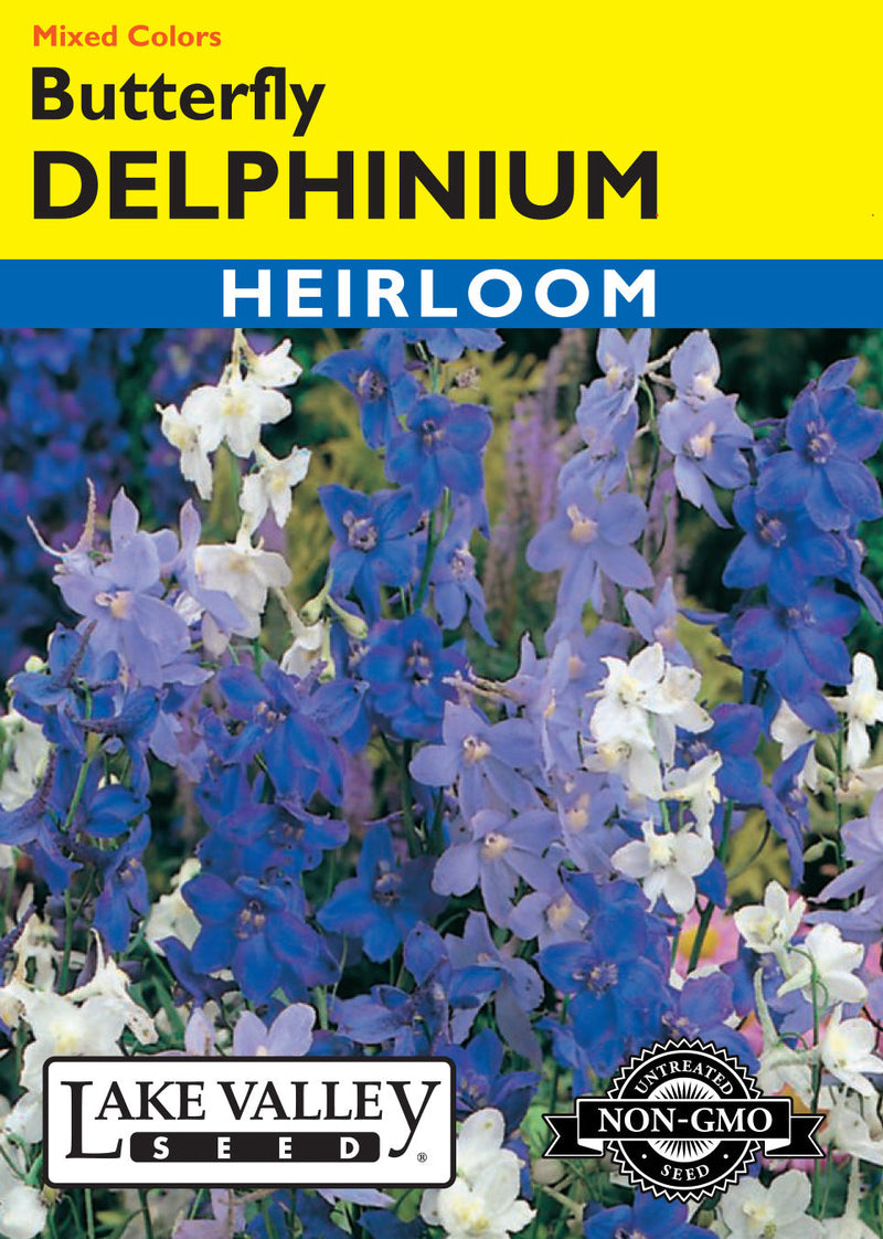 Delphinium