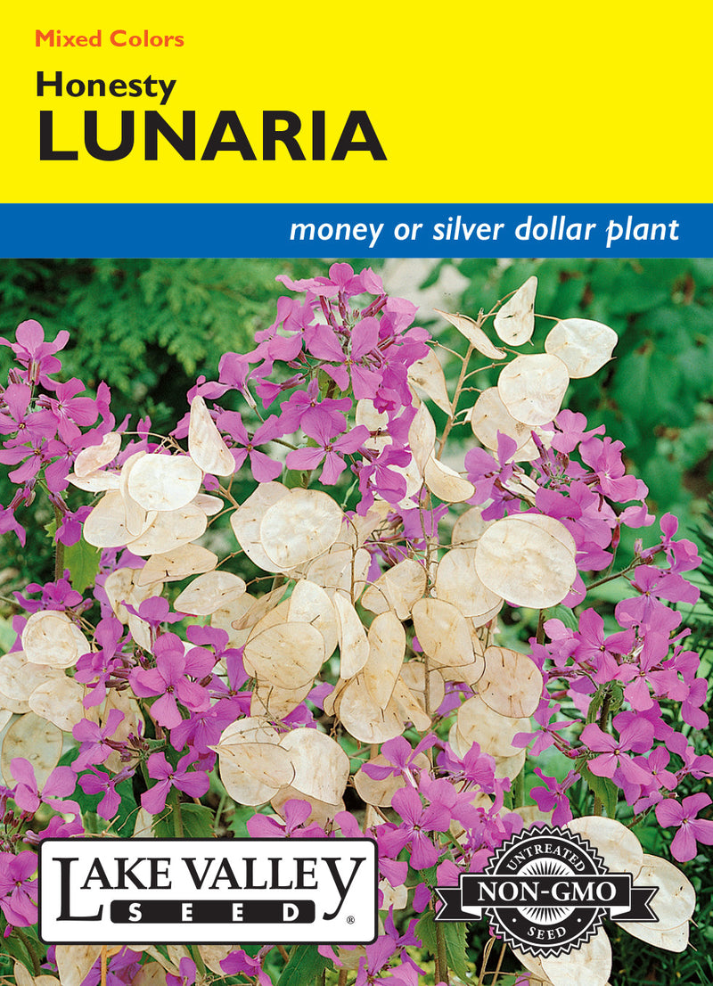 Lunaria