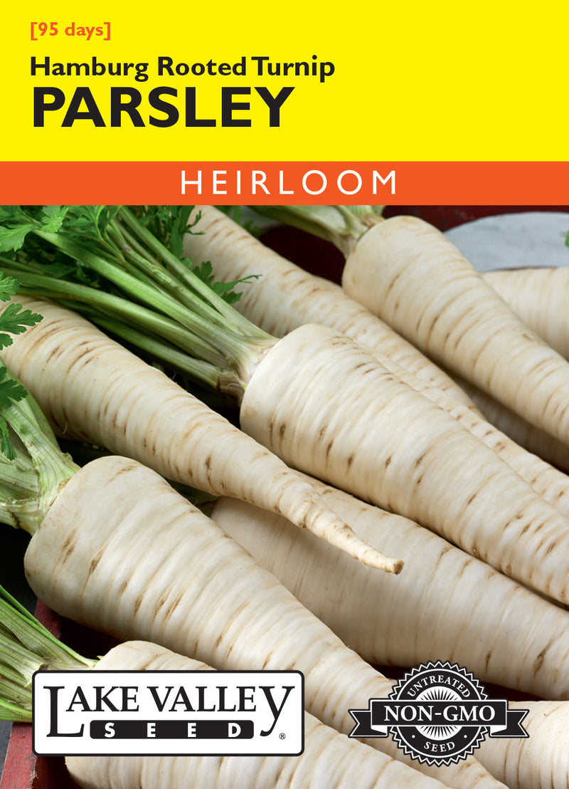 Parsley Turnip