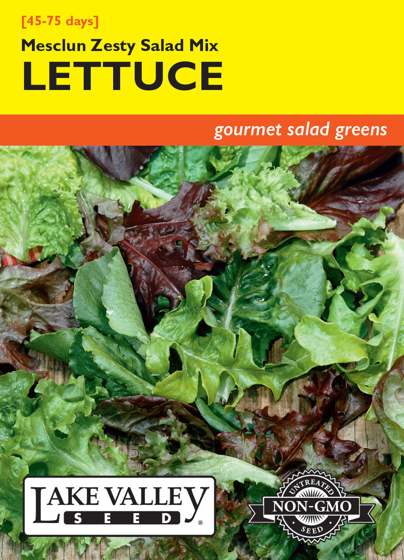 Lettuce