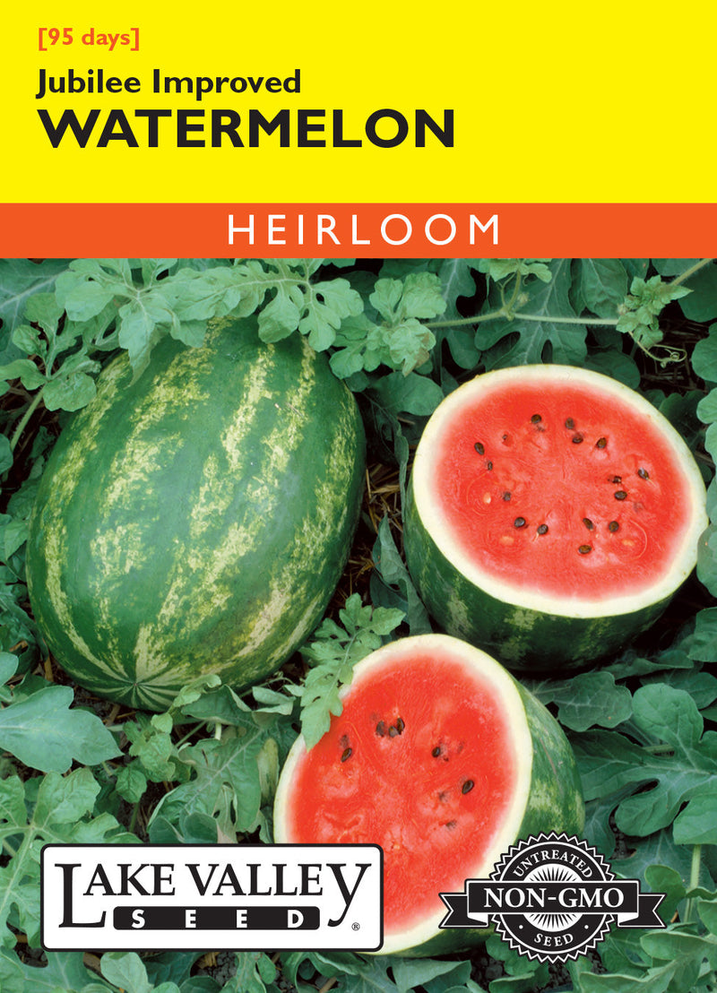 Watermelon