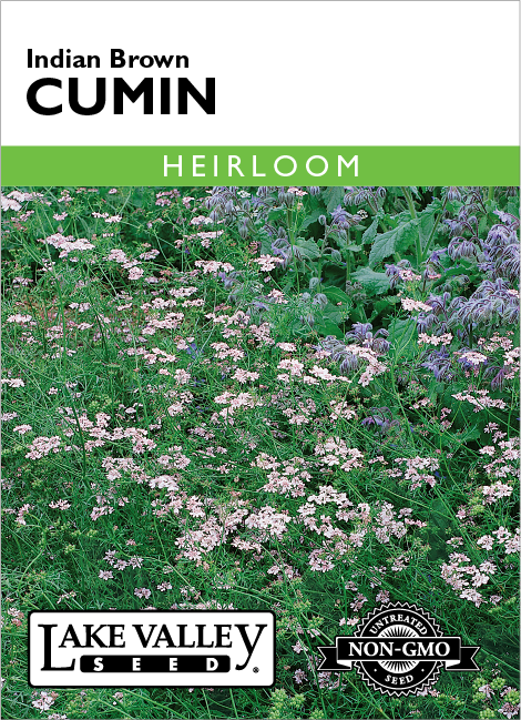 Cumin