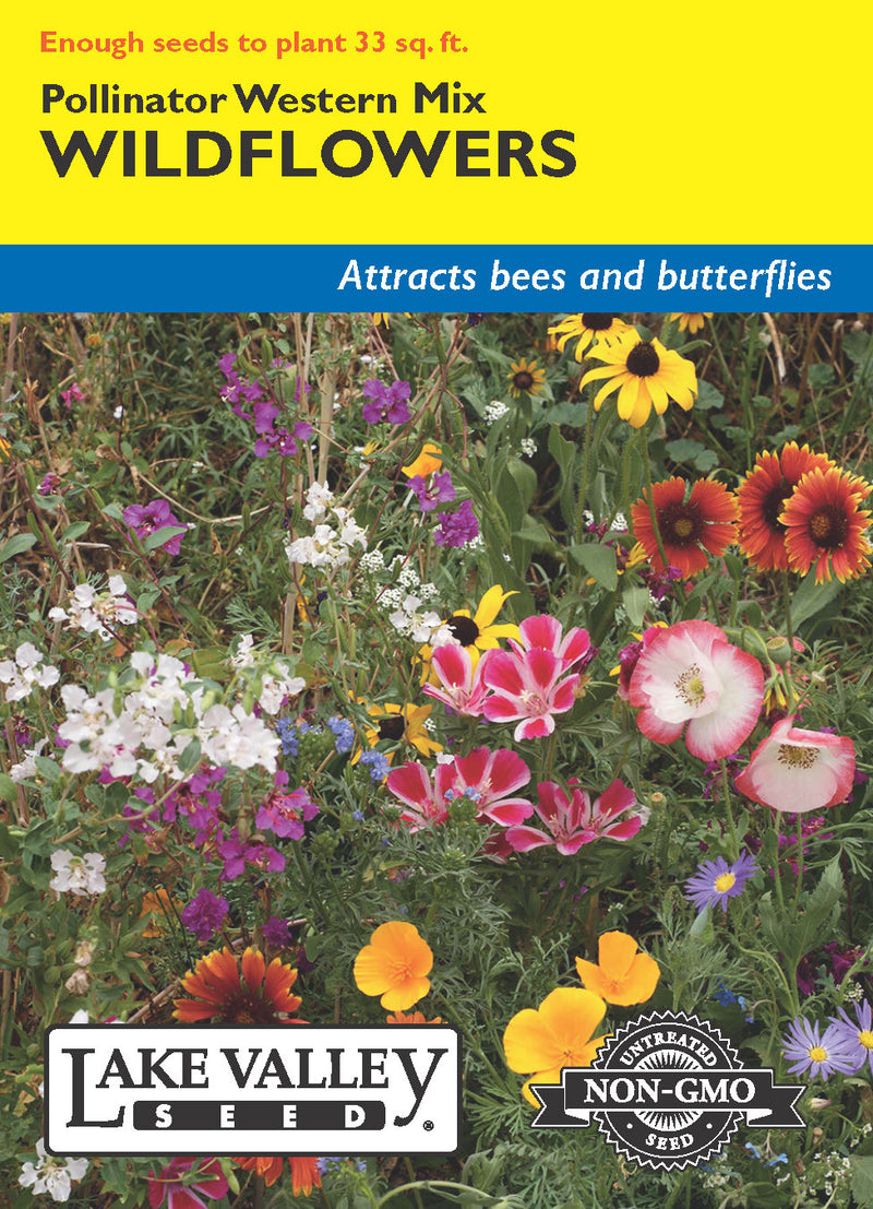 Wildflowers