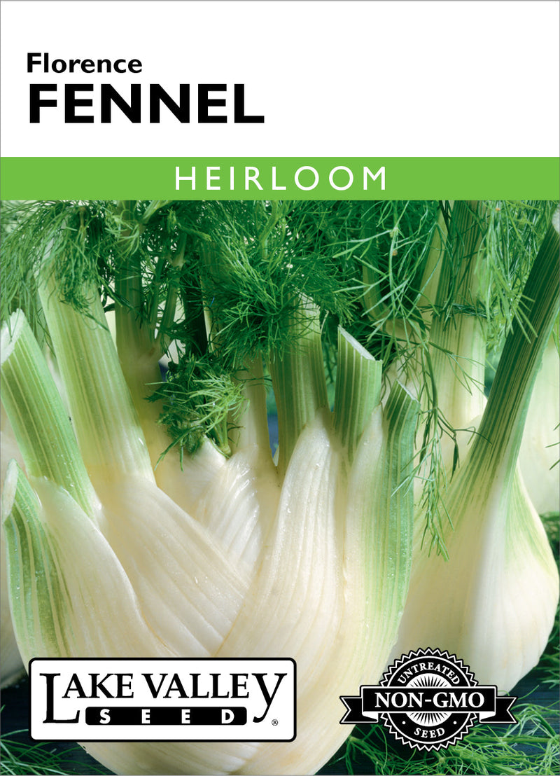 Fennel