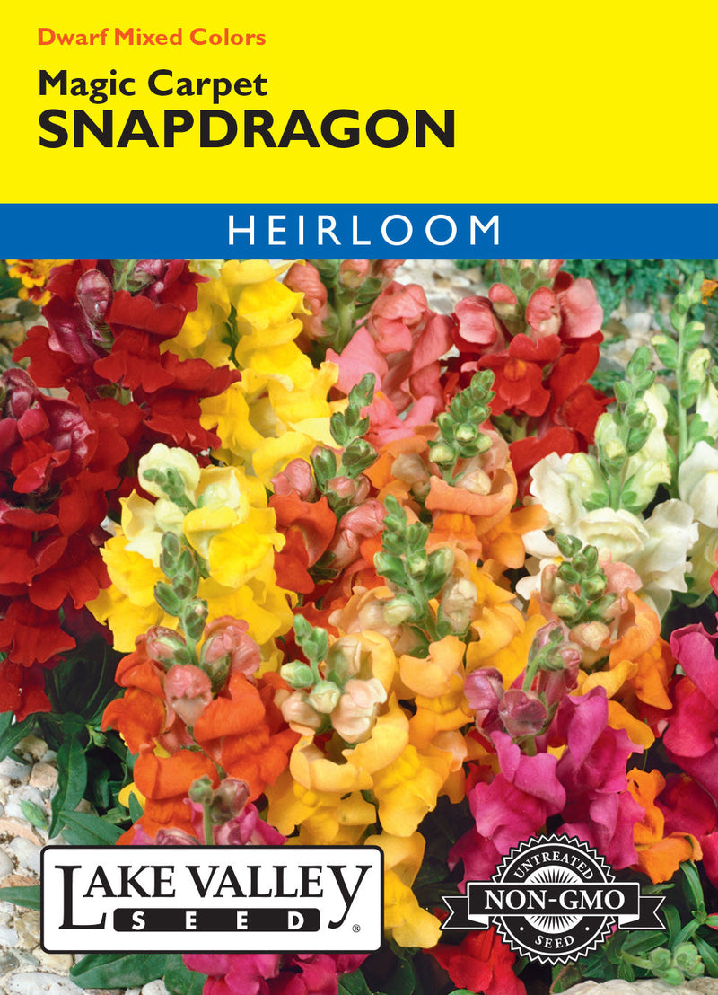 Snapdragon