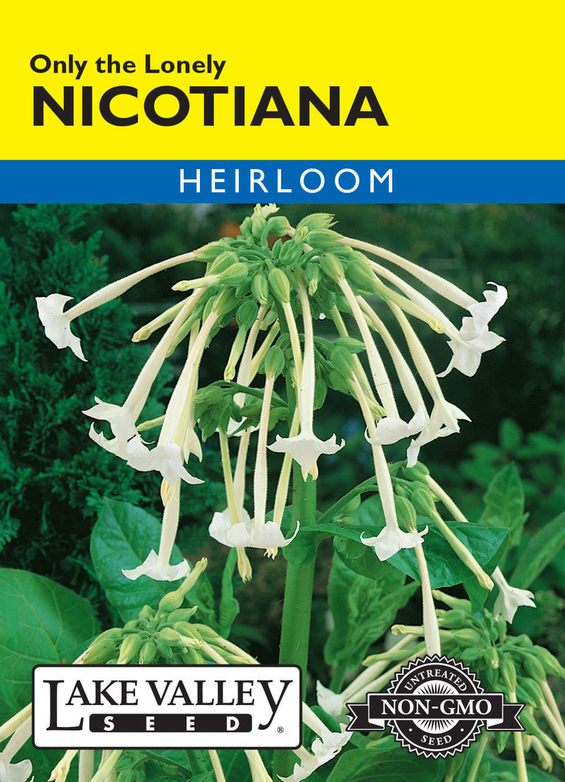 Nicotiana