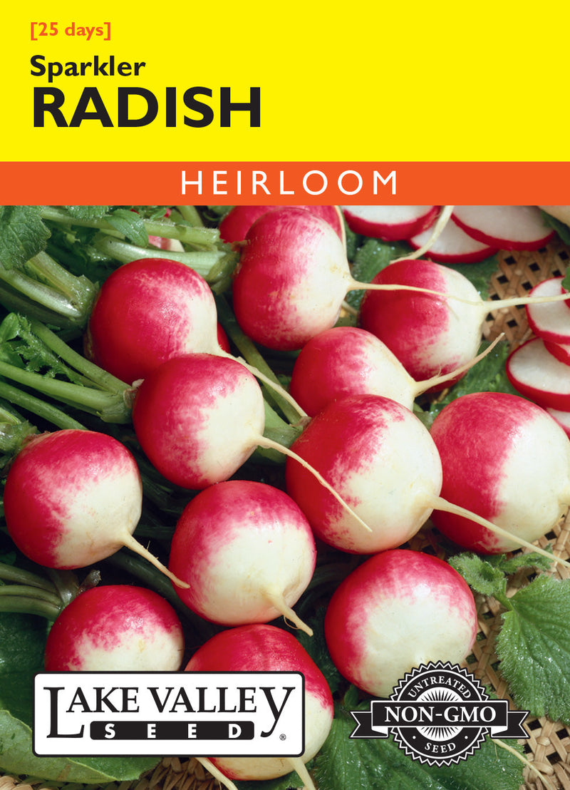 Radish