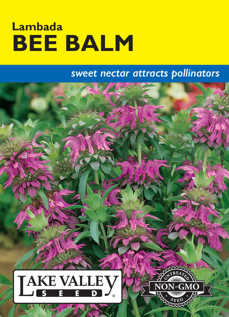 Bee Balm