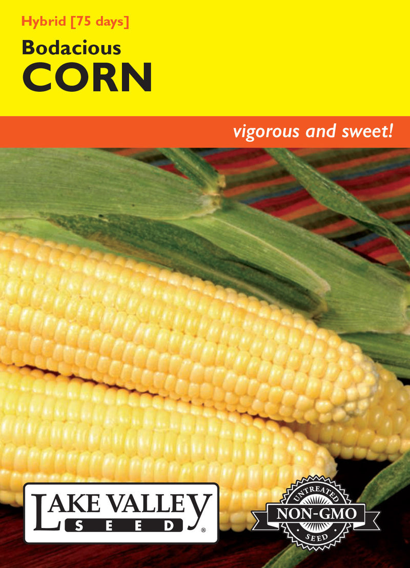 Corn