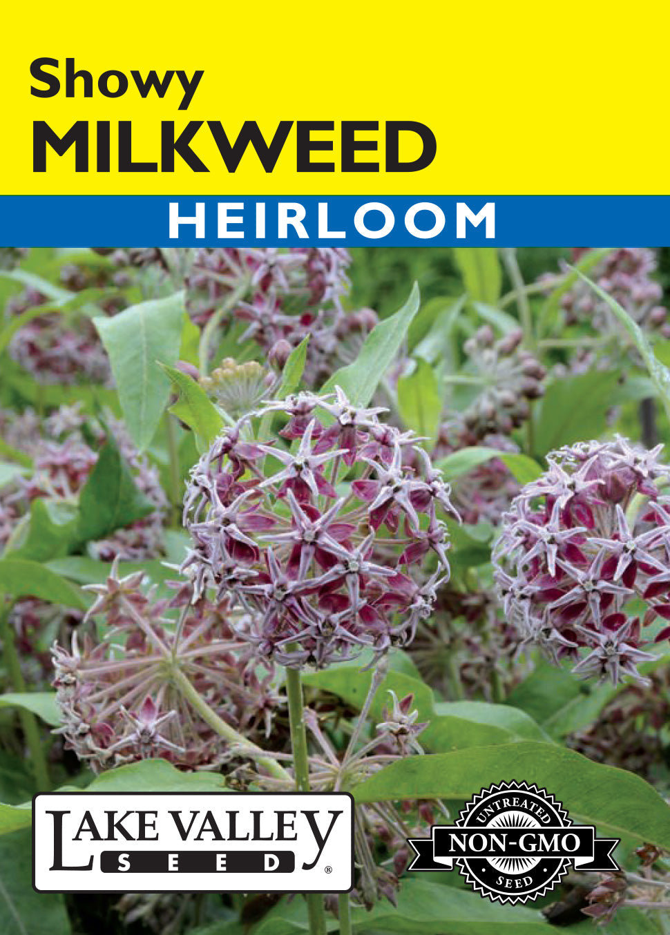 Milkweed