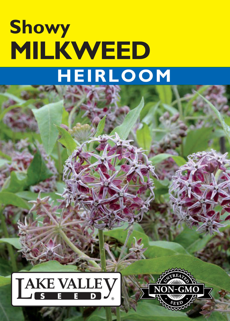 Milkweed