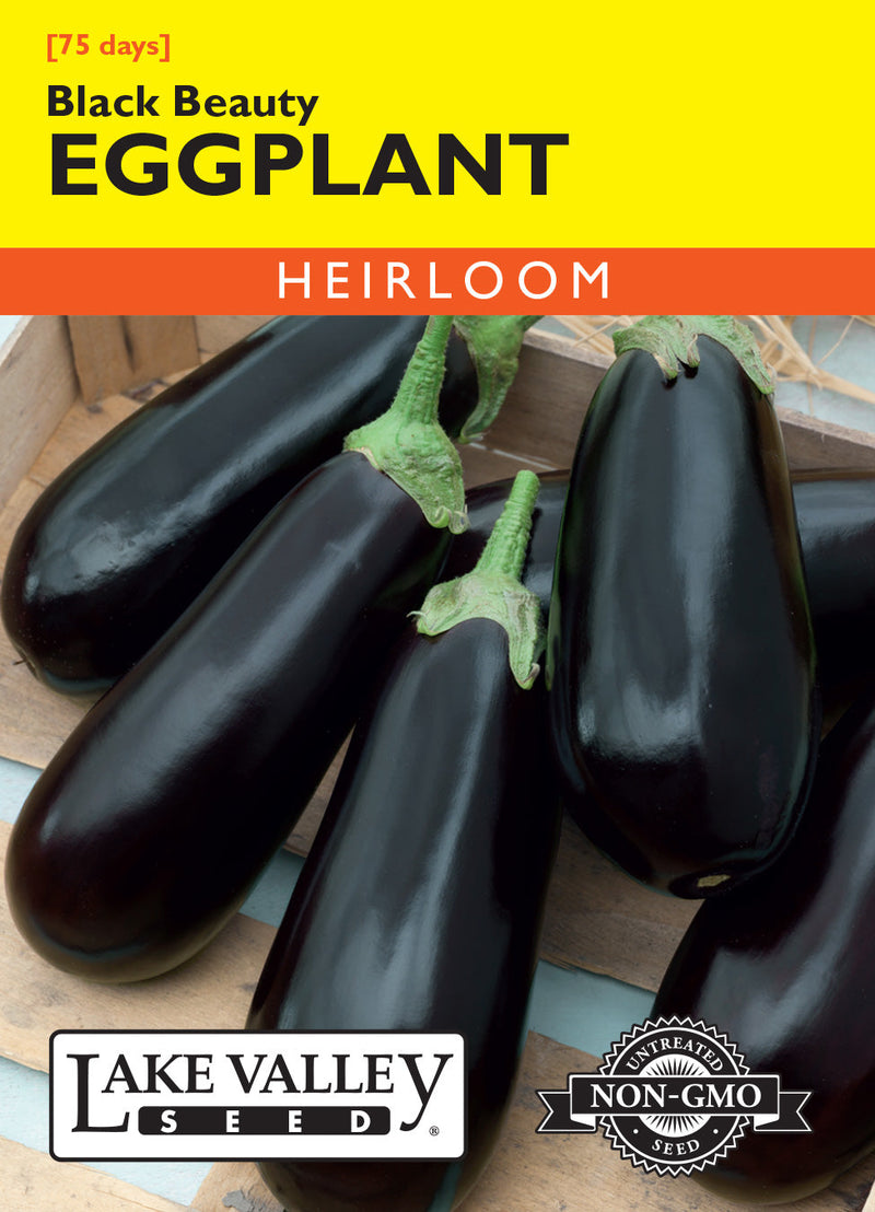 Eggplant