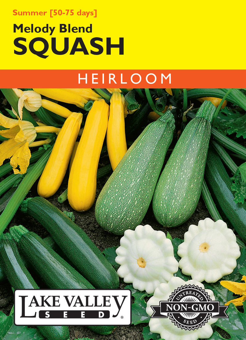 Squash (Summer)