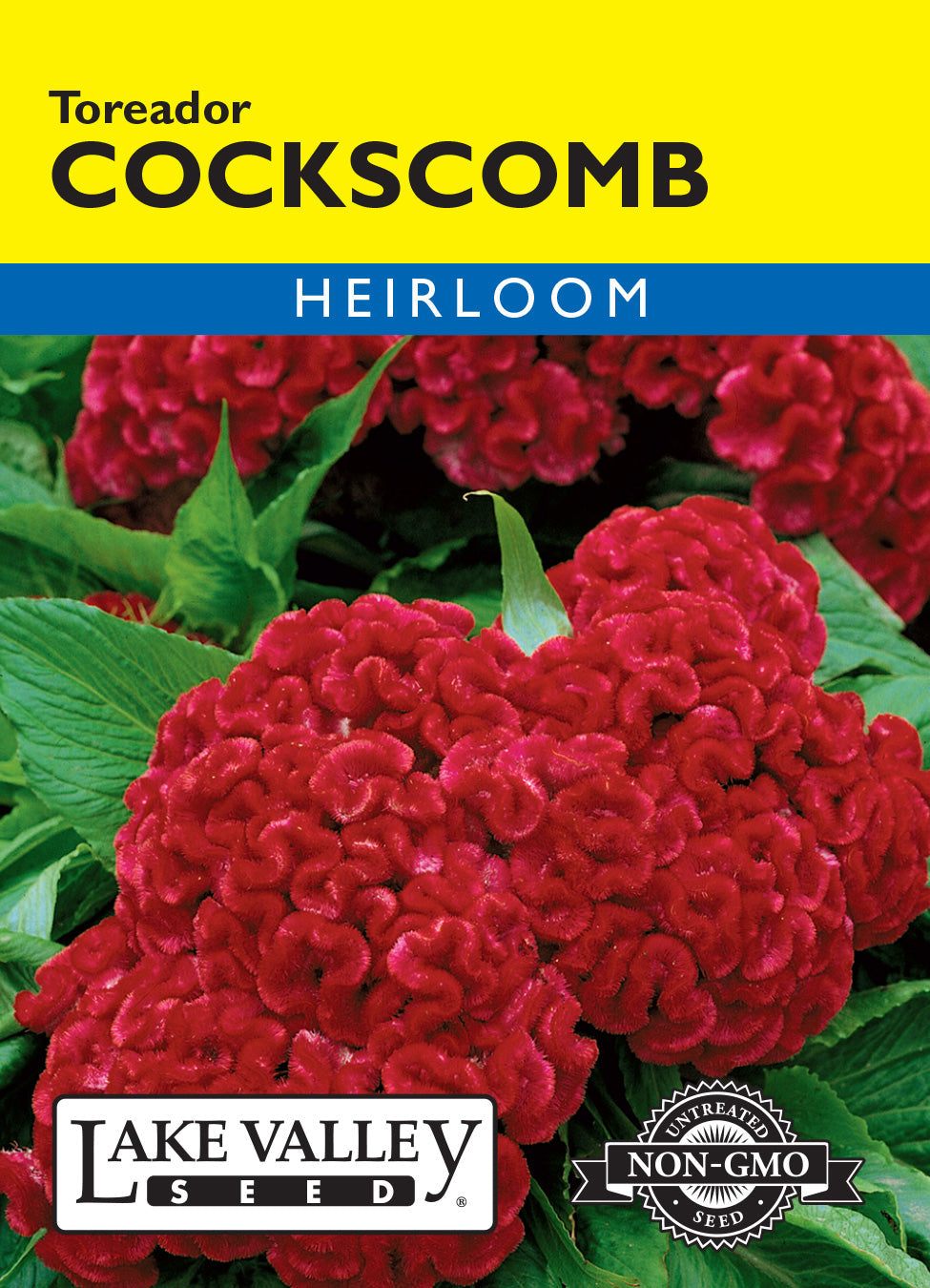Cockscomb