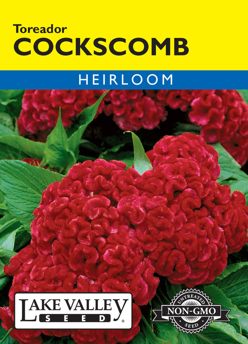 Cockscomb