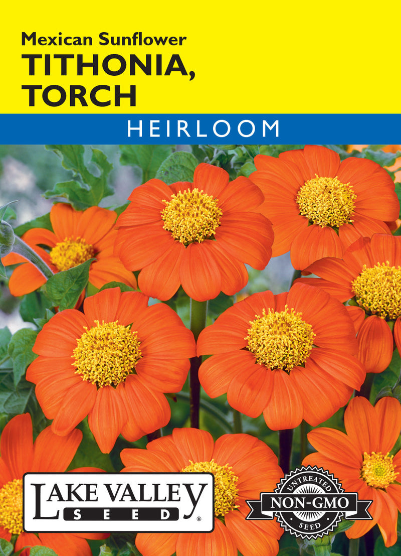 Tithonia