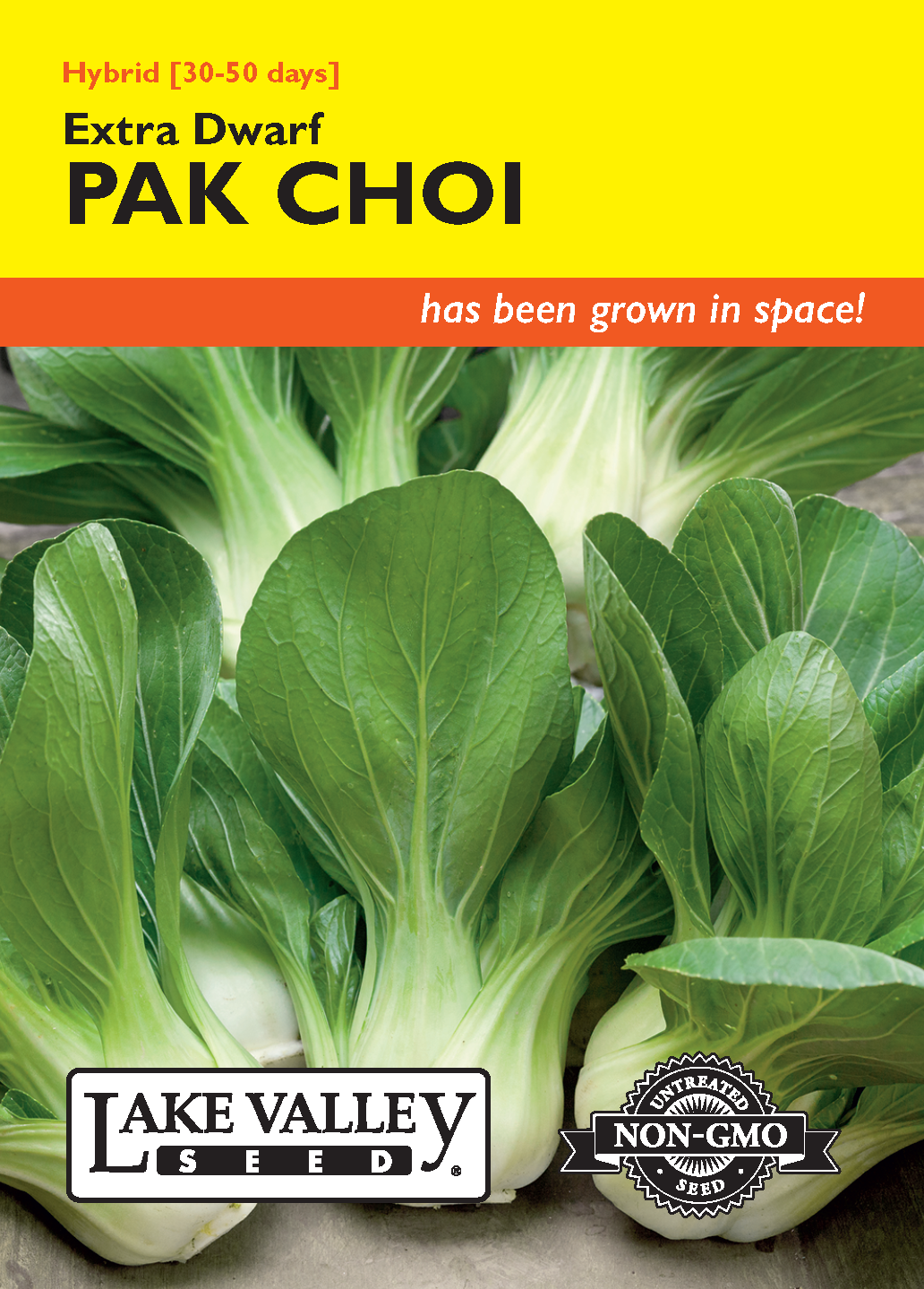 Pak Choi