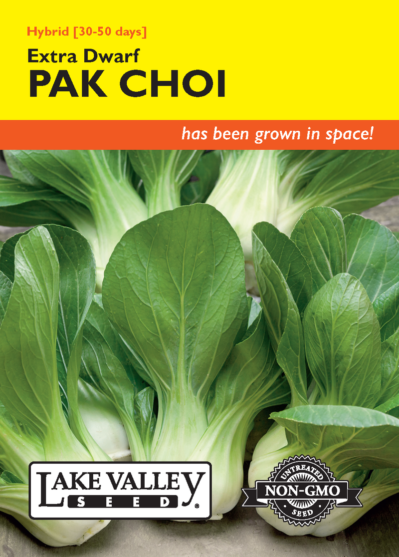 Pak Choi