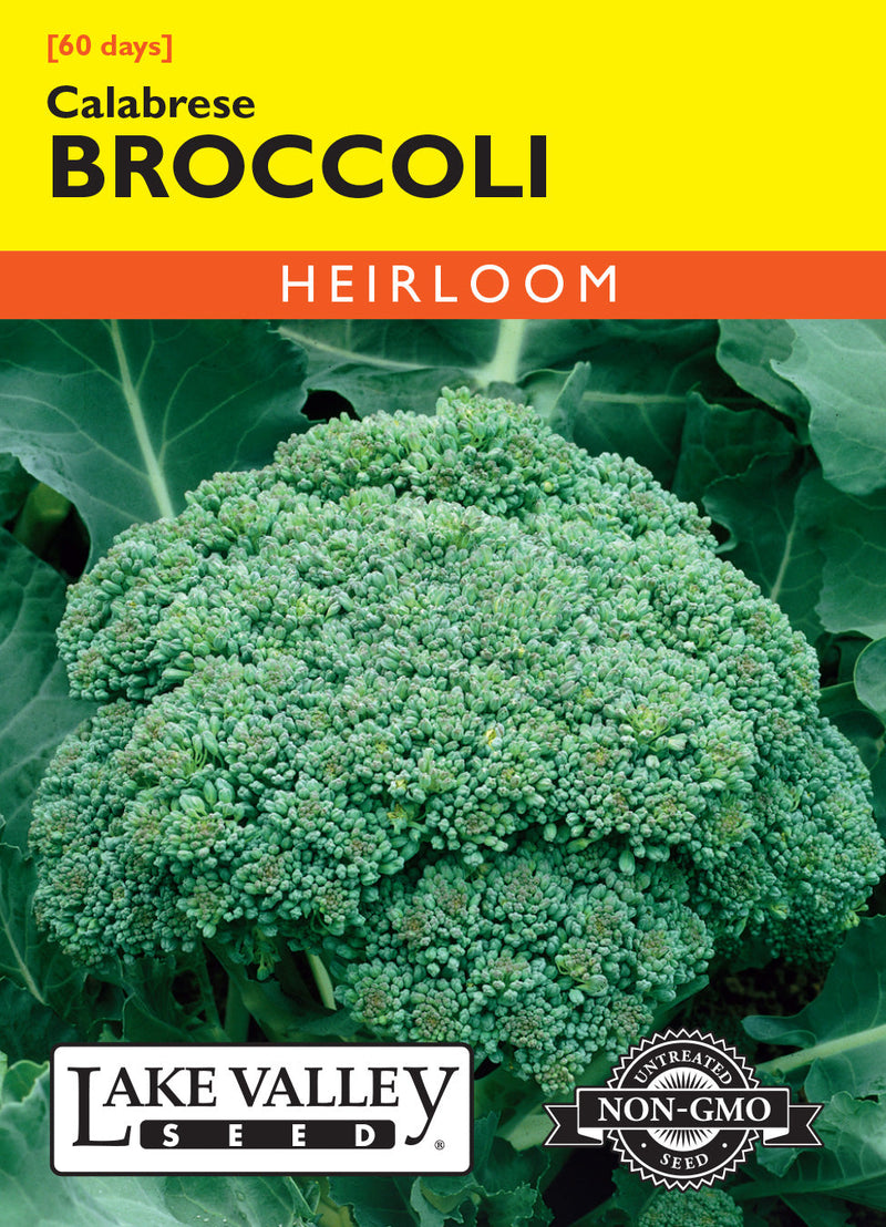 Broccoli