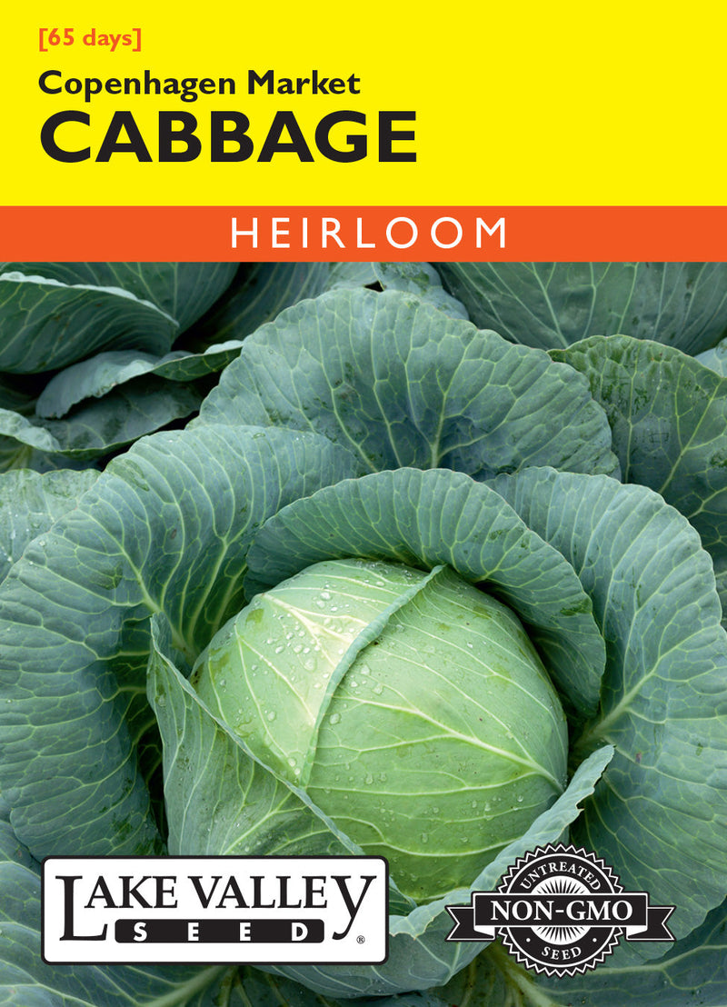 Cabbage